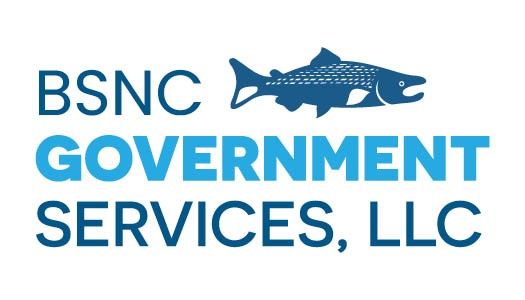 BSNC Govt Svcs  Logo